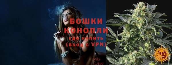 сатива Абинск