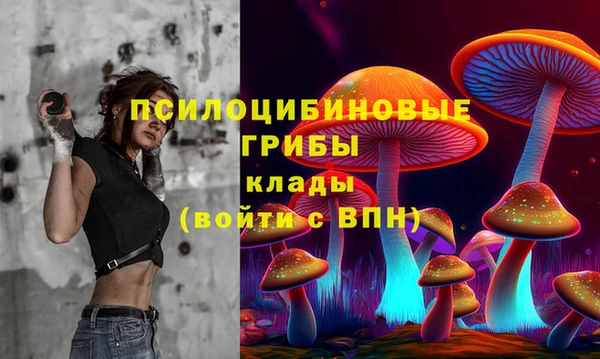 сатива Абинск